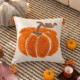Cushion
